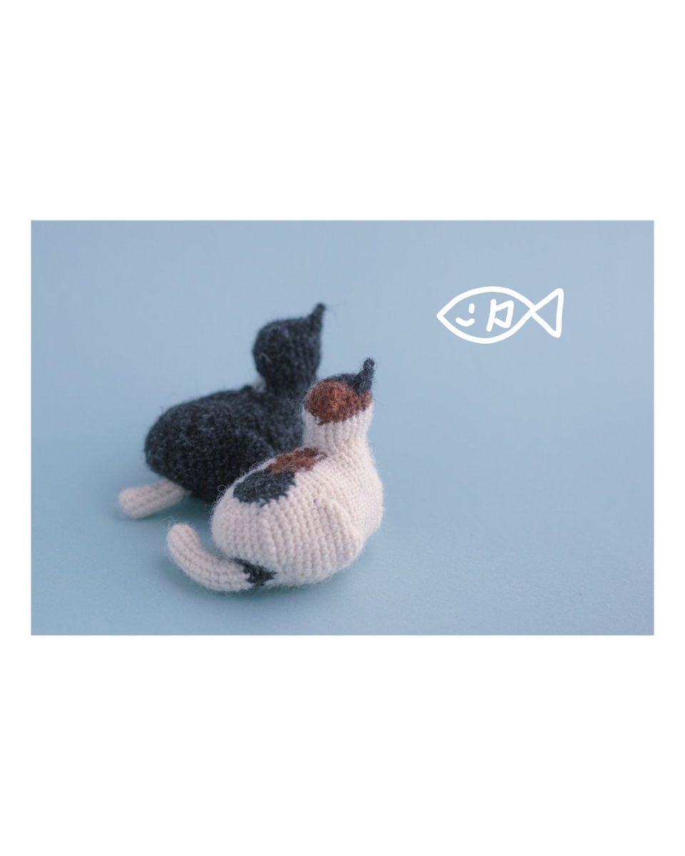 うちのねこのこあみぐるみ 月末までオーダー受付中です🐟️ 良かったら