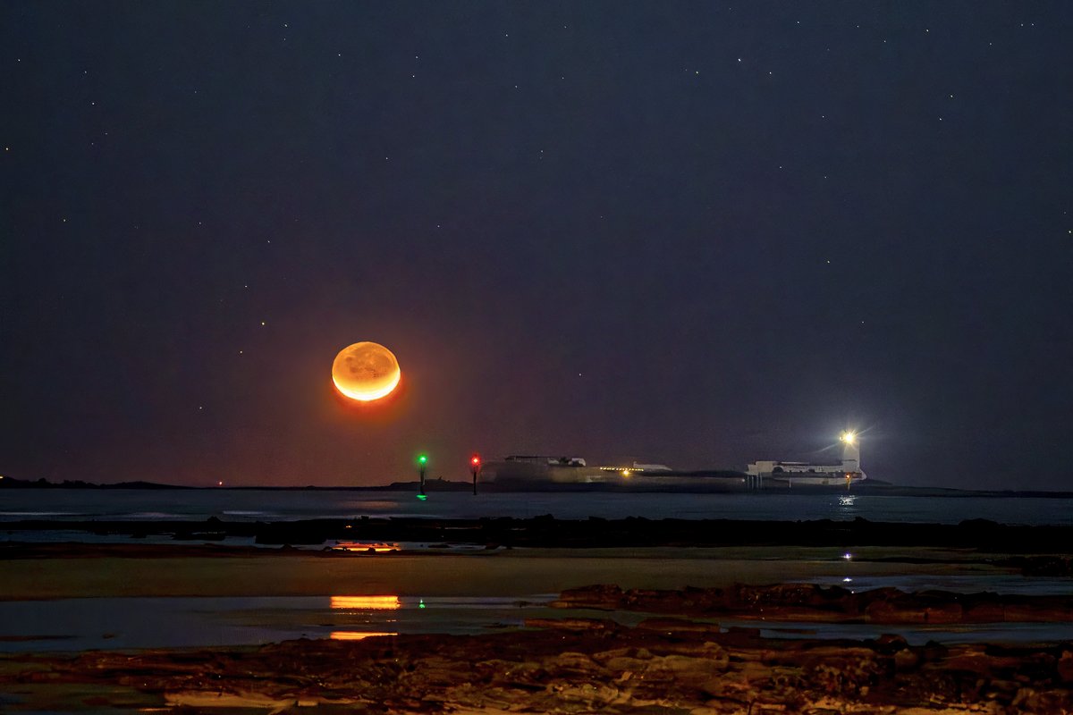 Pedro Mengual tweet media