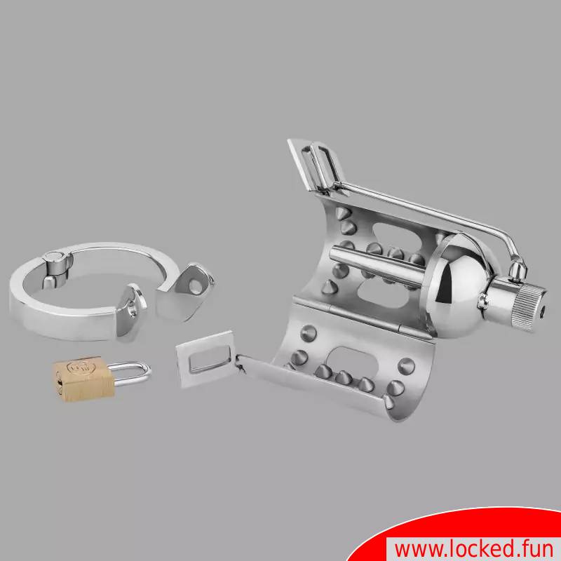 Master Alex tweet media