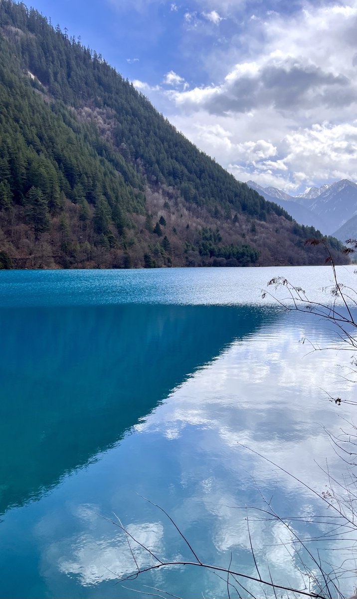 knocKnoCk tweet media