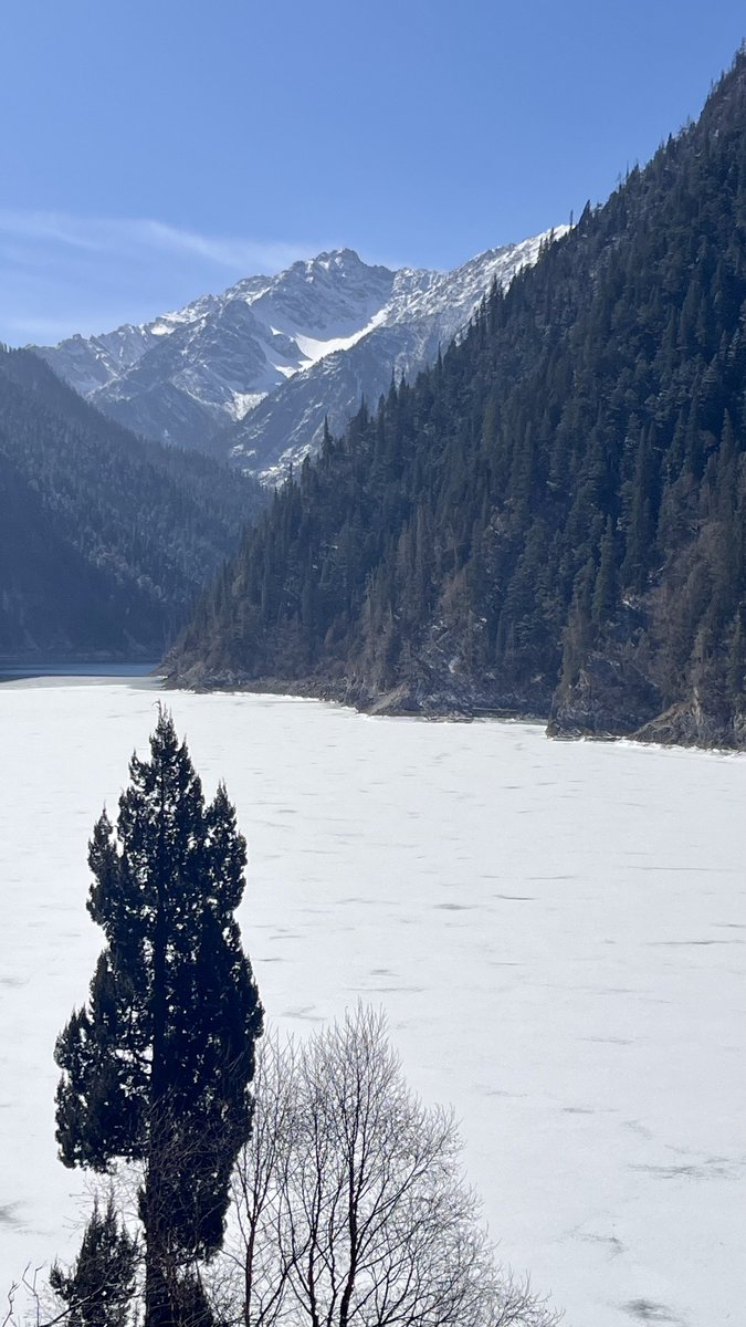 knocKnoCk tweet media