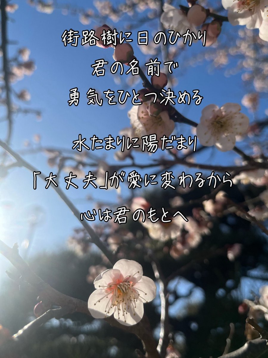 ひろみつ tweet media