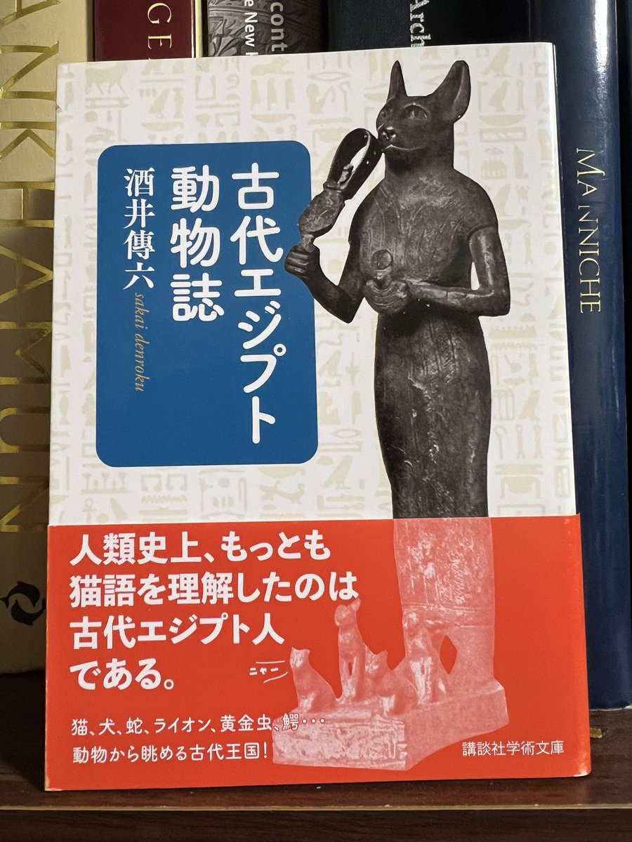 有村元春/ Motoharu Arimura (@011235Moto) / Posts / X