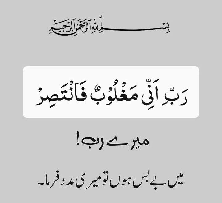 اسلام وعلیکم ورحمتہ اللہ وبرکاتہ🥀
ایمان بخیر زندگی💜
#رمضان_كريم
 جو خود کے لئے نہیں لوگوں کے لئے دعا کرتے ہیں
ان کے حق میں فرشتے دعا کرتے ہیں
نادیہ مروت✍🏻
یا اللّٰہ رمضان المبارک کے بابرکت مہینے کے صدقے میری امی جی کو مکمل صحت یابی نصیب فرما آمین ثم آمین 🙏🏻🤲🏻

#TDR__now