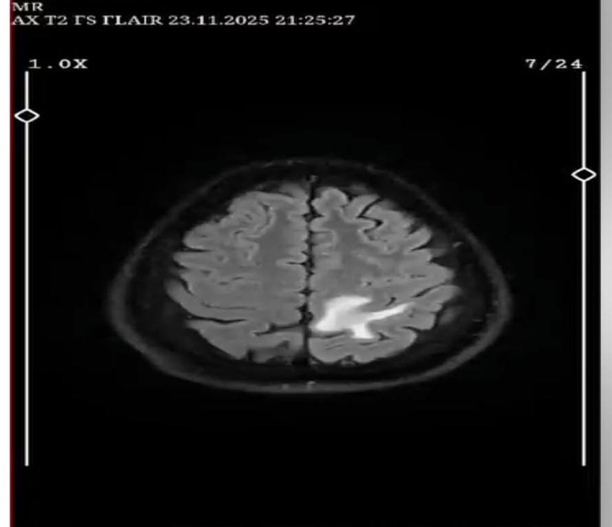 ❄️Berf❄️ tweet media