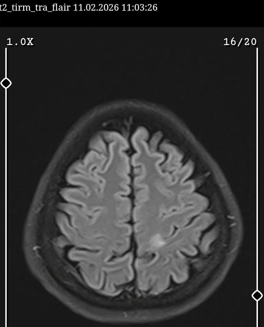 ❄️Berf❄️ tweet media