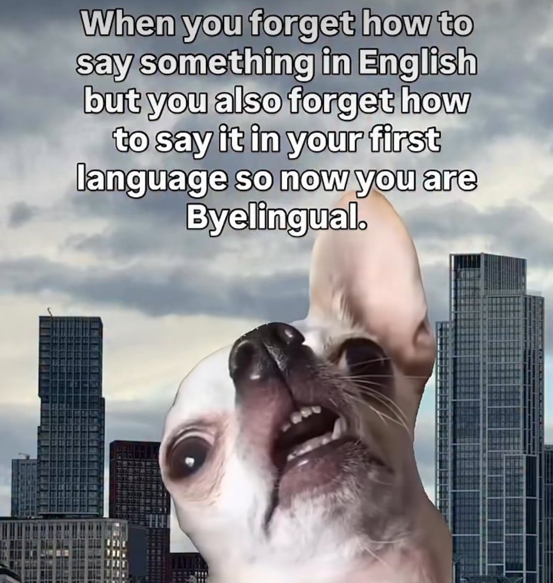 Miguel-Ángel tweet media