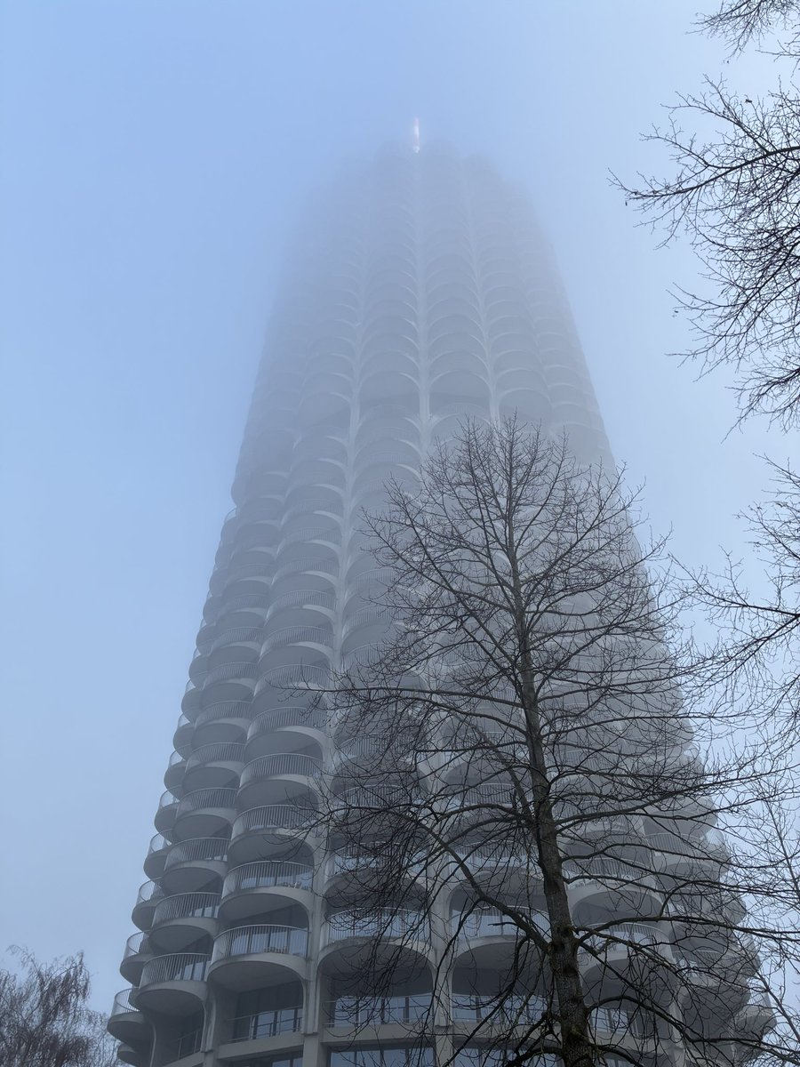 Klaus Schellhorn tweet media