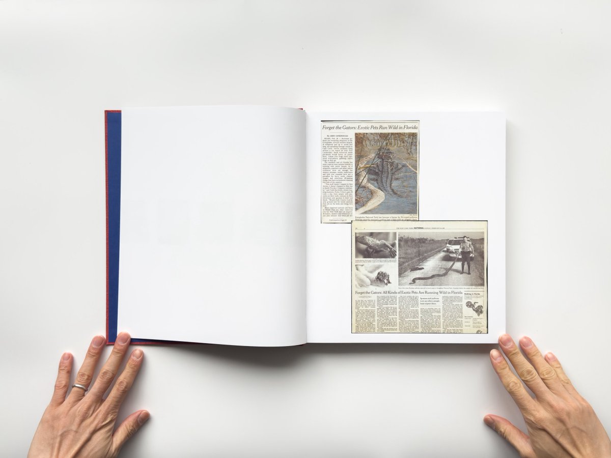 【新入荷】
Le Luxe by Roe Ethridge / MACK

スナップ、コミッション、スクリーンショット——多様なイメージが並置され、「完成された作品」という前提そのものを揺さぶる。デジタル時代における写真の現在地を問う一冊。

『THE PHOTOBOOK: A HISTORY』第3巻掲載。

iack.online/products/le-lu…