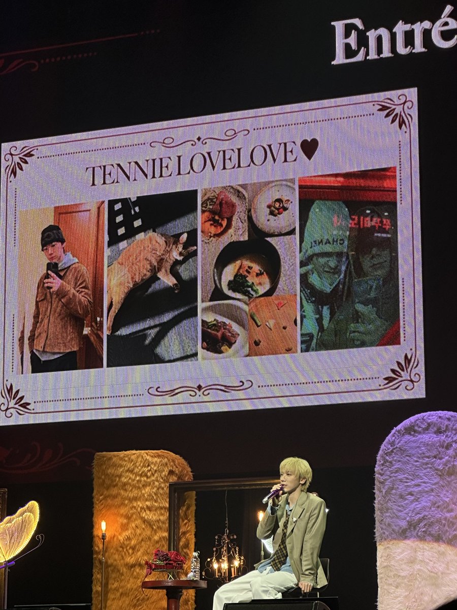 민들레영토 tweet media