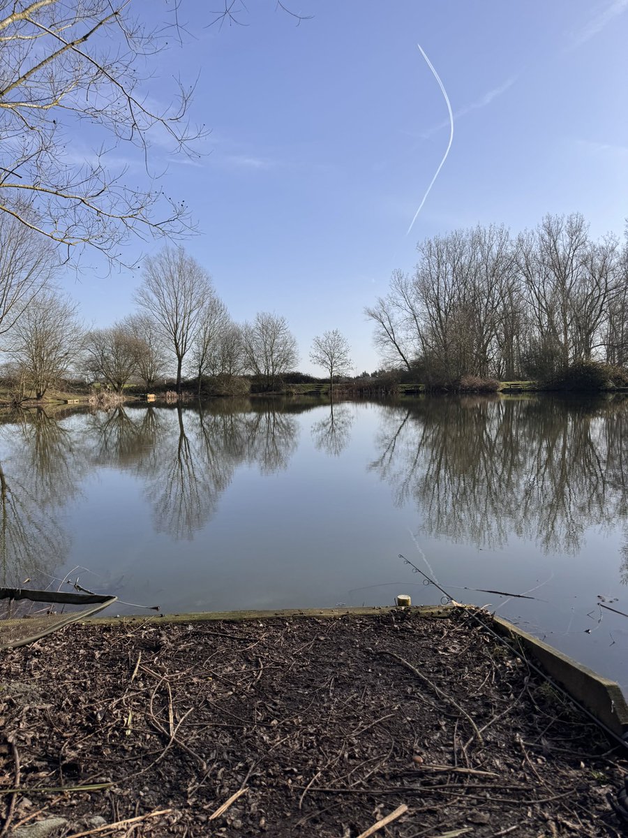 seeking shadows tweet media