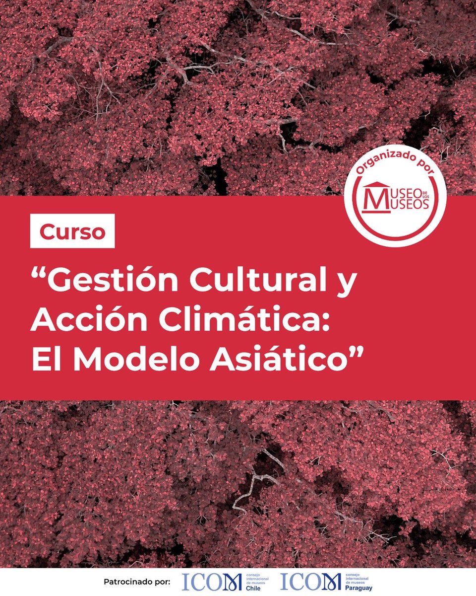 Museo de los Museos tweet media