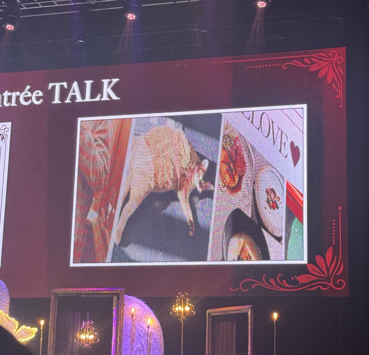 เตนล์บอกว่า เวลาไปตปท แม่จะมาเกาหลี มาดูแมวให้ แล้วแม่ก็พาแมวไดเอท เตนล์บอกว่าตอนนี้ลีออนน้ำหนักลดลงไป 3 โลแล้ว!!!!! ลีออนก็เลยไม่ชอบแม่เลย 5555555555555555555 
 #TEN_BDAY_PARTY