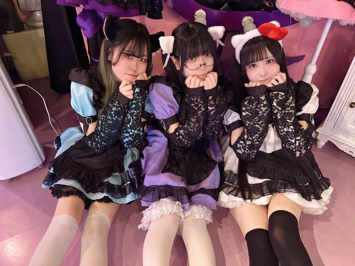 今週で2月も最終週❣すいすい水曜日にゃ🐱🐟 にゃんぽんたん横断