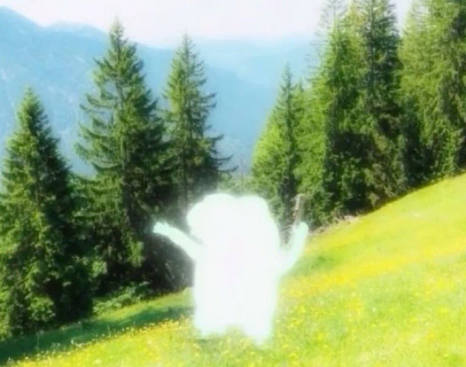 SN◎WDEV tweet media