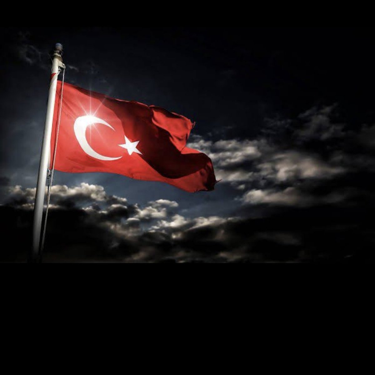 ERCAN YILMAZ  #EGT tweet media