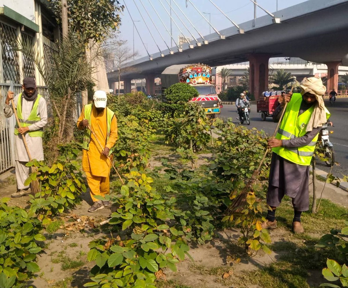 PhaLhr's tweet photo. وزیر اعلی پنجاب محترمہ مریم نواز شریف صاحبہ کے گرین پنجاب ویژن کے تحت پی ایچ اے لاہور کے ملازمین شہر میں شاہراہوں ، گرین بیلٹ اور پارکوں میں ہارٹی کلچر کا
کام کررہے ہیں ۔
#lahore #green #horticulture #lahori https://t.co/JmiaRey93c
