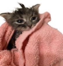 Good Looking Guy • 🐰🍧 tweet media