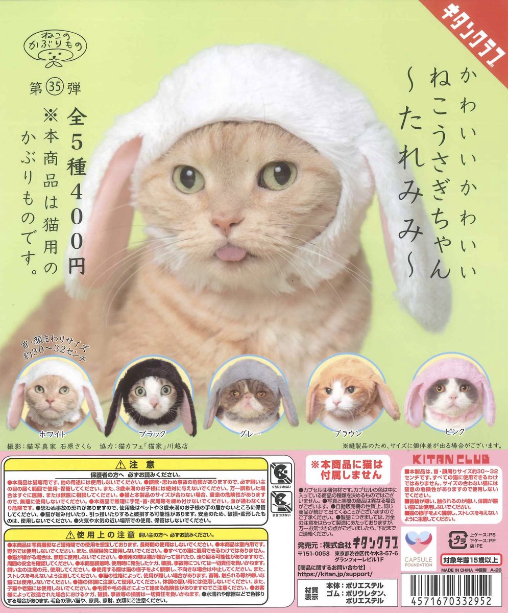 🎁 本日の入荷商品🎁 📌 かわいい かわいい ねこうさぎちゃん〜たれ