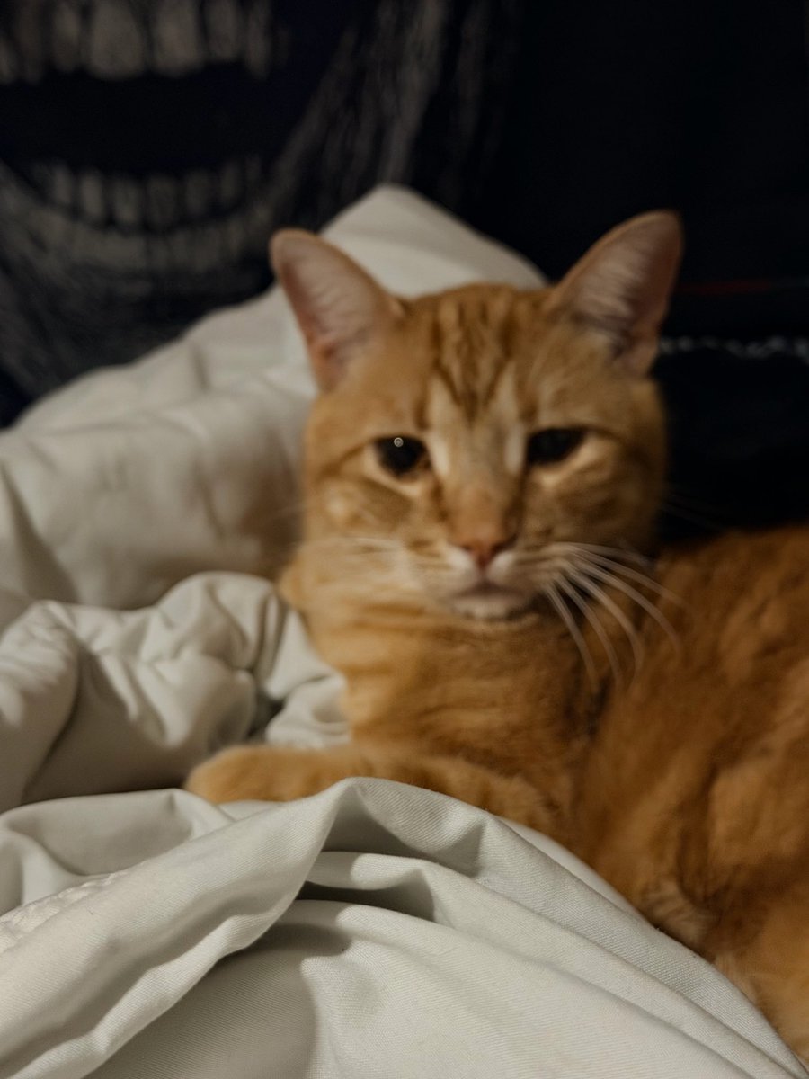 Ima close to a GOD behind the grill! 🥩🔥🔥😎😈🐈