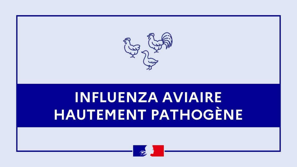 Préfet de la Creuse tweet media