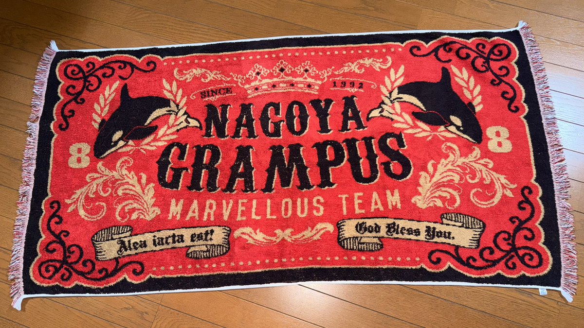 前々からどうしても欲しかったこのブランケット。 発売されてから