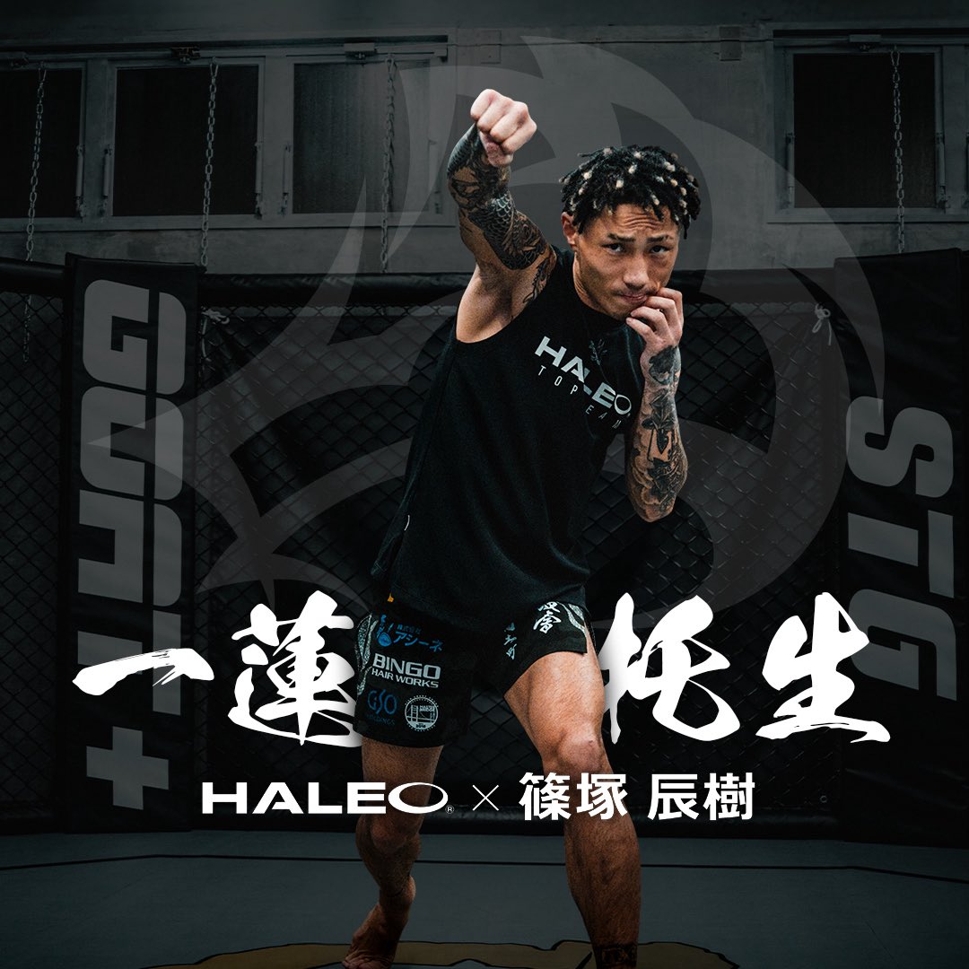 HALEO-OFFICIAL tweet media