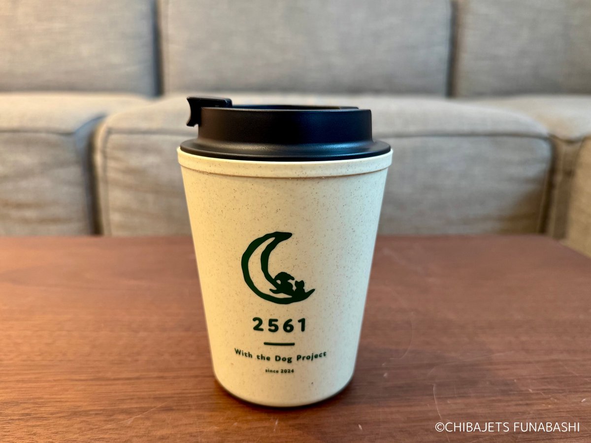 千葉ジェッツふなばし 🛫PAINT IT JETS✨ tweet media