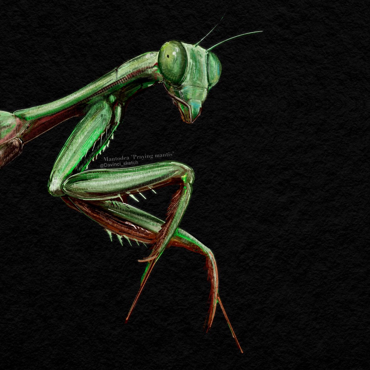 Davinci_sketch 다빈치 스케치 tweet media