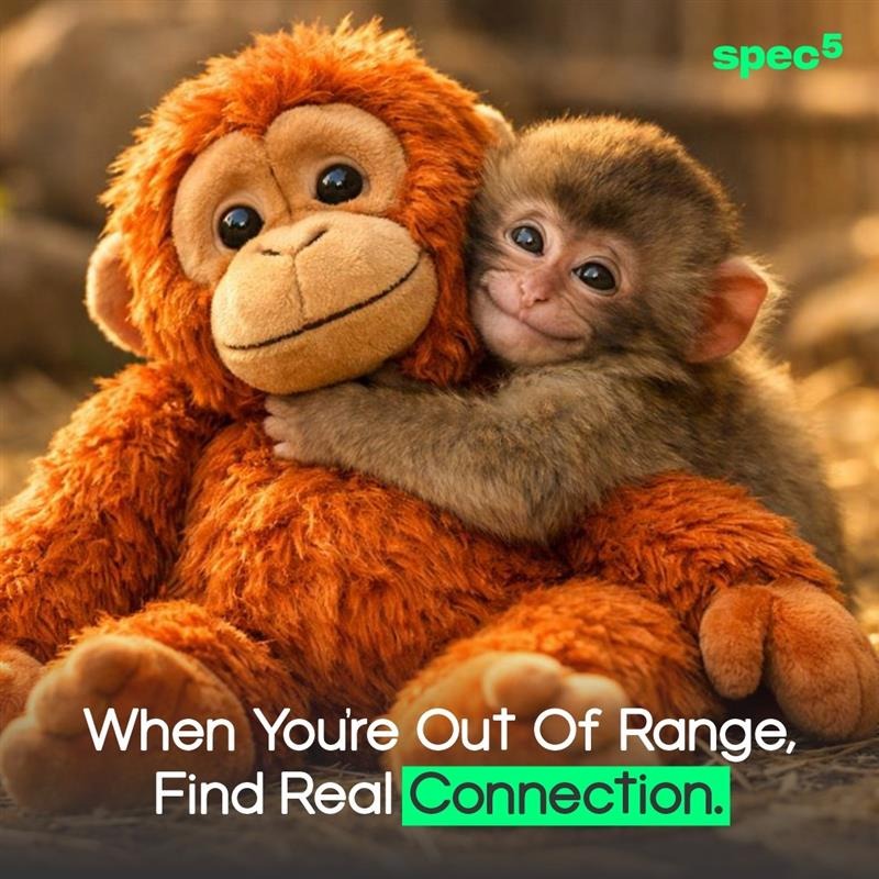 SpecFive tweet media