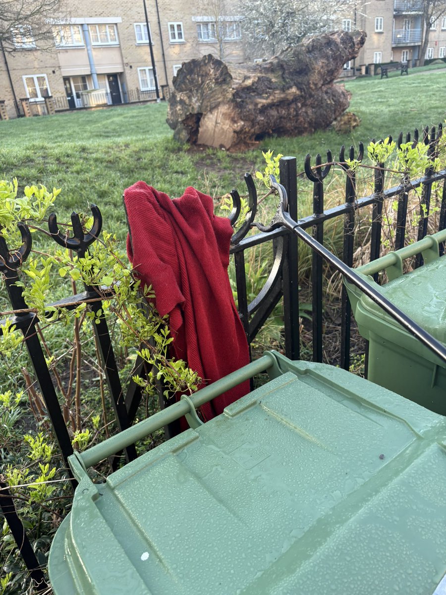 25 February 2026 - Wednesday 
Two bags like this of trash picked this morning <a href="/Southwark_News/">Southwark News</a> <a href="/lb_southwark/">Southwark Council</a>