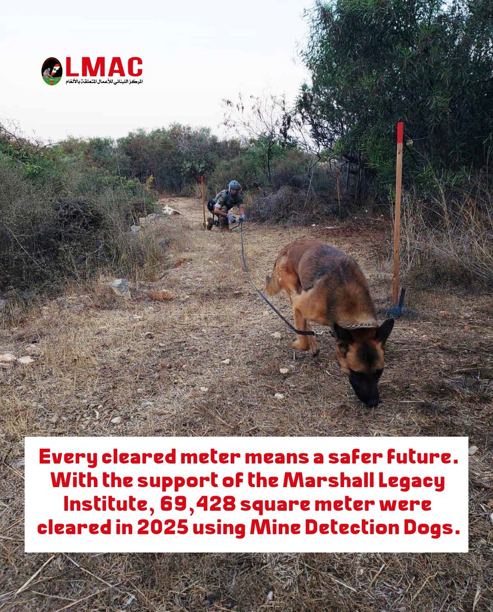 Lebanon Mine Action Center tweet media