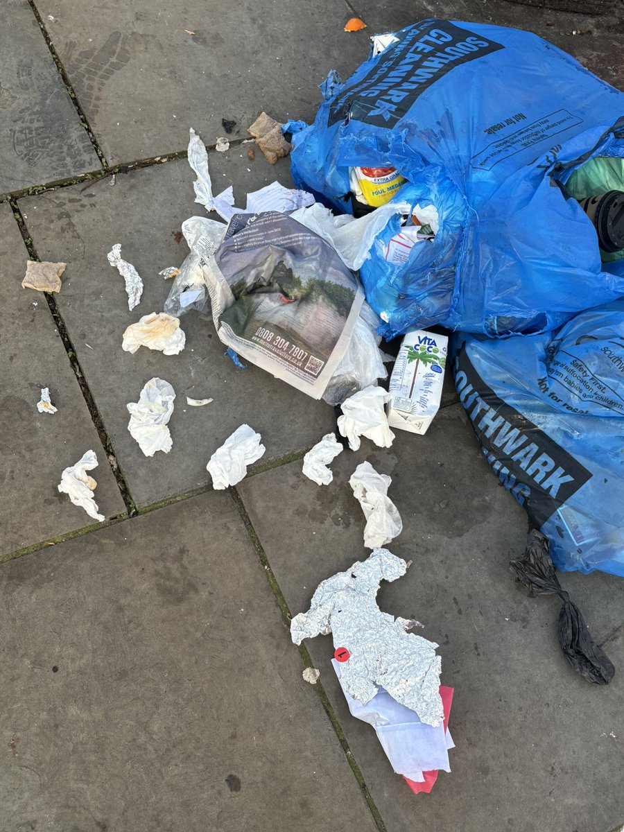 25 February 2026 - Wednesday 
We picked and cleaned this trash this morning because sometimes the council doesn’t clean it the same day and all this rubbish then spreads out into the gardens. <a href="/lb_southwark/">Southwark Council</a> <a href="/Southwark_News/">Southwark News</a>