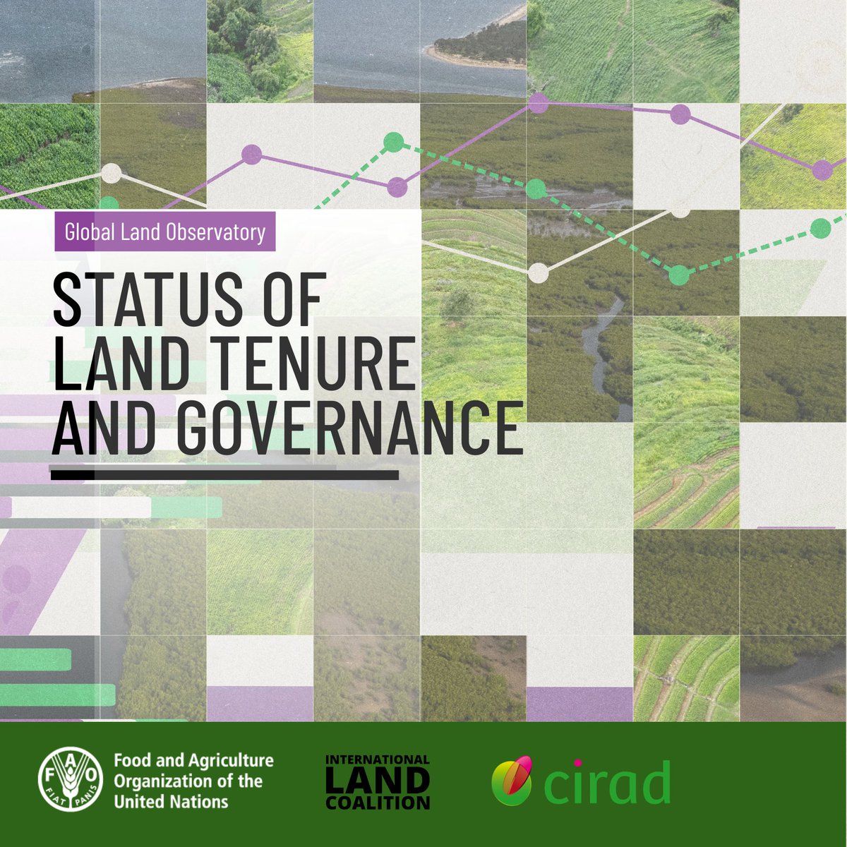 FAO Social & Economic Development tweet media