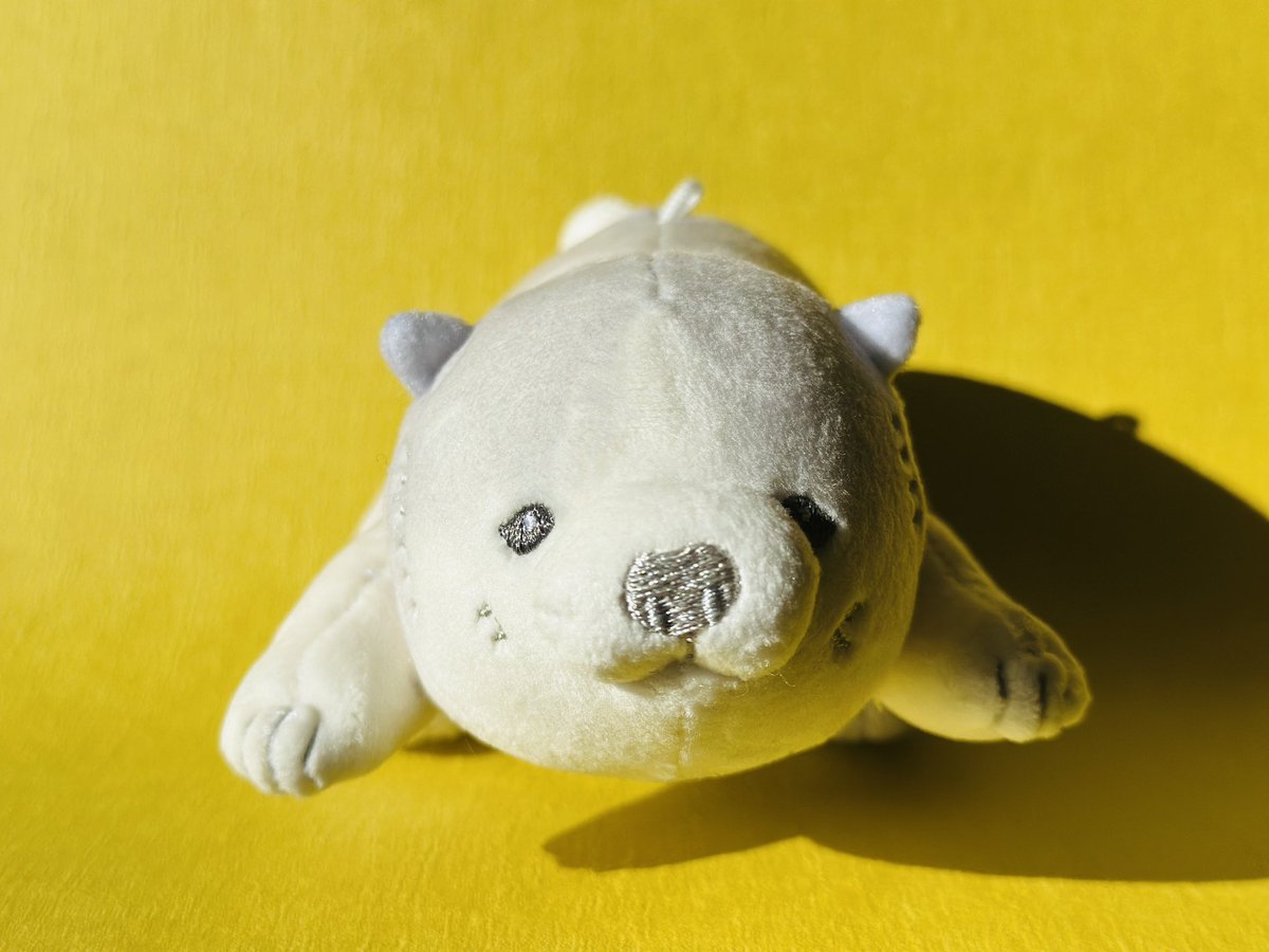 フェリシモ「ミュージアム部」 (@f_museumbu) / Posts / X