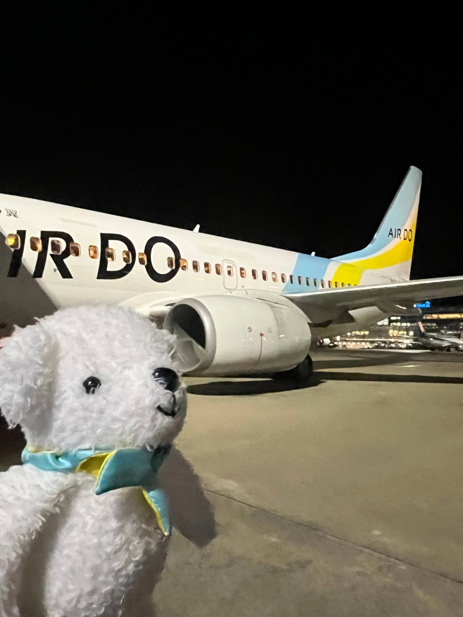 間近で見る飛行機の迫力にワクワクドキドキしていました• ᴥ • 皆さん