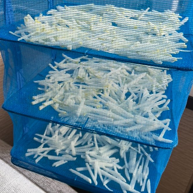 岸本華果👩‍🌾📚農経・人類学 tweet media