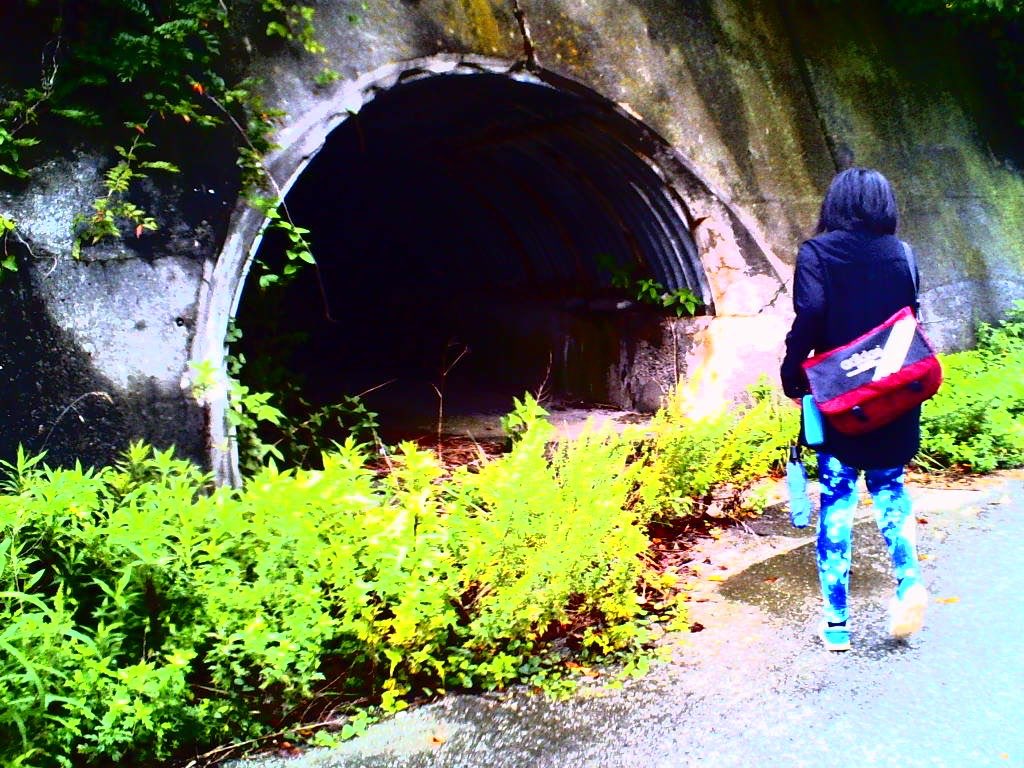 haccodat's tweet photo. 人間漂流vol.23 道草
逸れてるつもりもなく寧ろ舗装された道を順風満帆にまっすぐ歩いているつもりが、他者から見たら茨道だったとか 気付かなかったらなんでもなかったのにもう気付く前には戻れないし それだって、逸れたって帰れるよいい子だからさ、どこに帰ろうか、帰り道全部が道草、そういう毎日 https://t.co/LqlxgclWSy