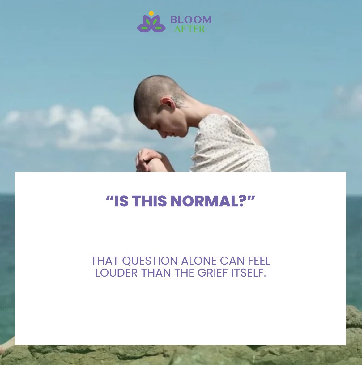 BLOOM AFTER tweet media