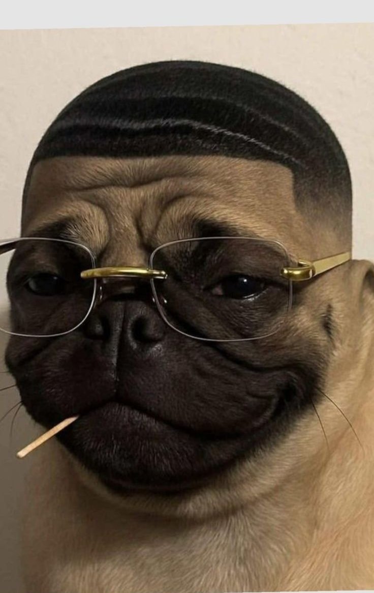 So we all came down from heaven just to fight to make heaven🤔🤔

The Story no clear💔💔