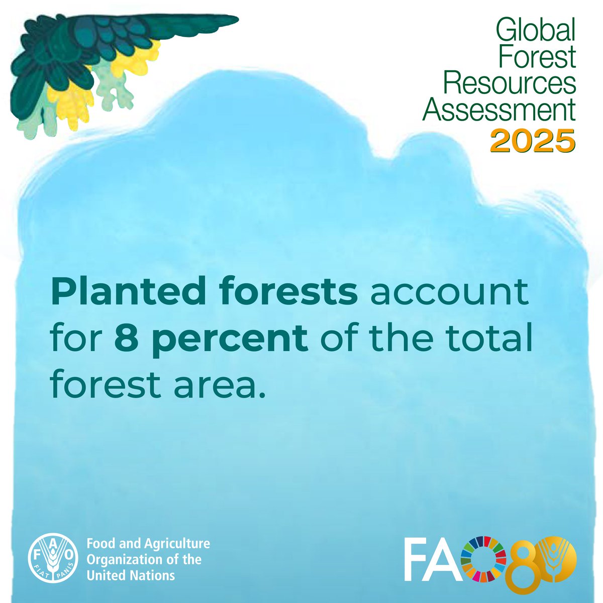 FAOForestry's tweet photo. The area of planted forests has increased in all regions since 1990, but globally the the rate of increase slowed in the last ten years.

Get more data on the world’s forests in @FAO’s Global Forest Resources Assessment 2025 👉 https://t.co/GLcObttjks

#FRA2025 https://t.co/uefOM3gWiw