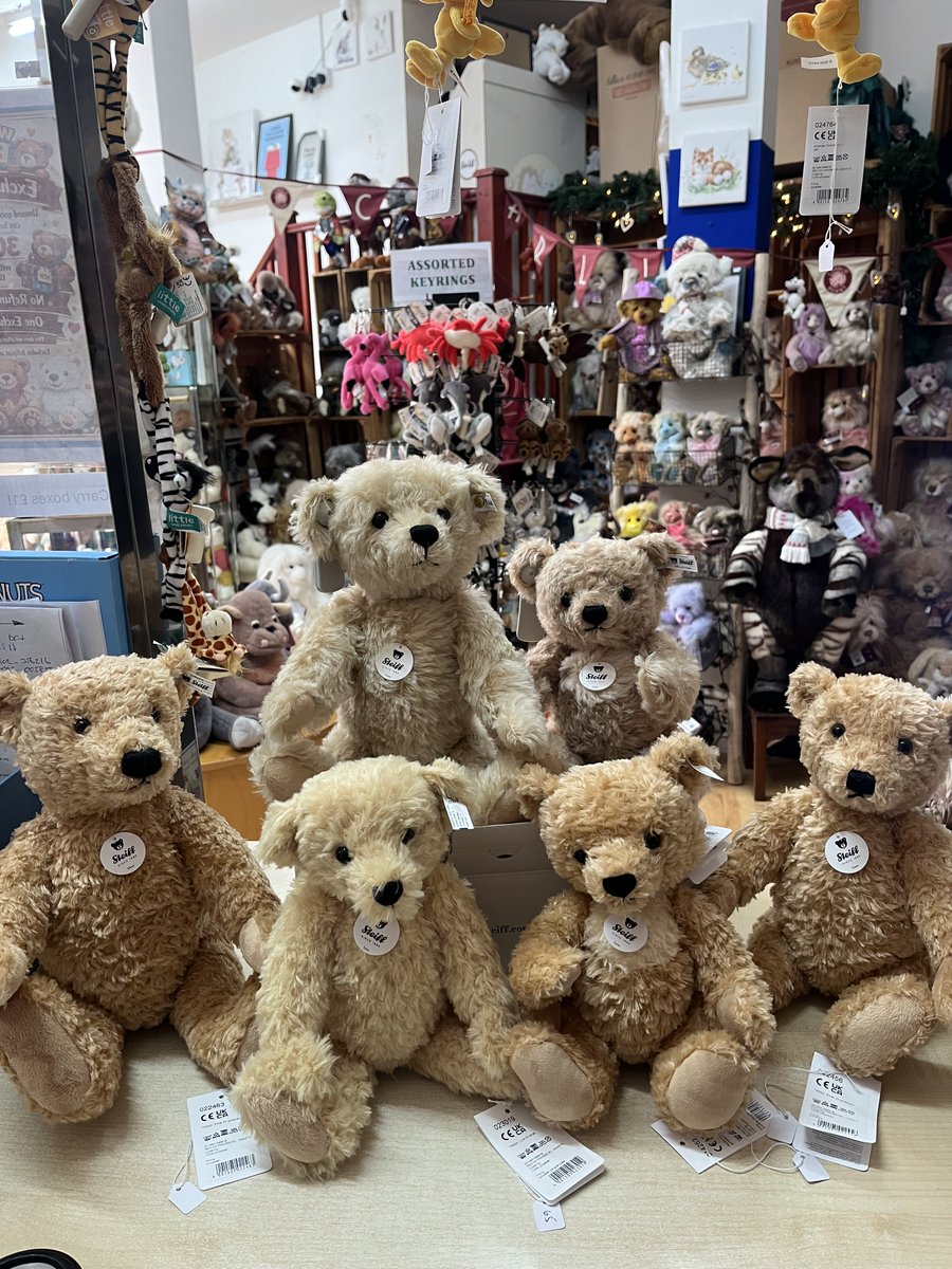 headbear tweet media