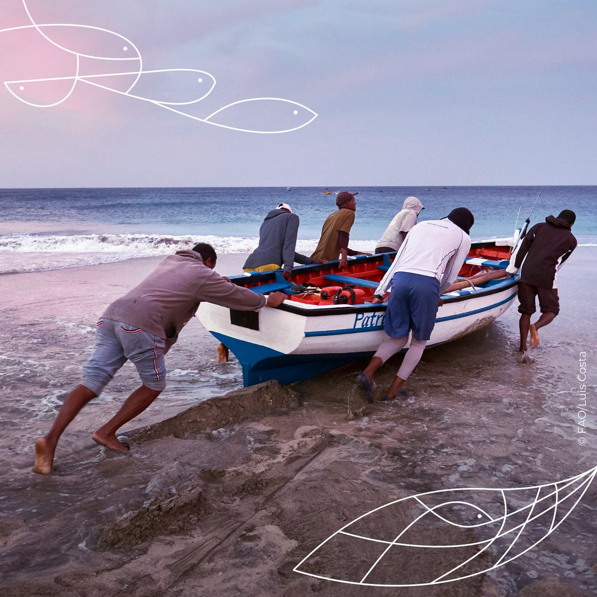 Fisheries & Aquaculture tweet media