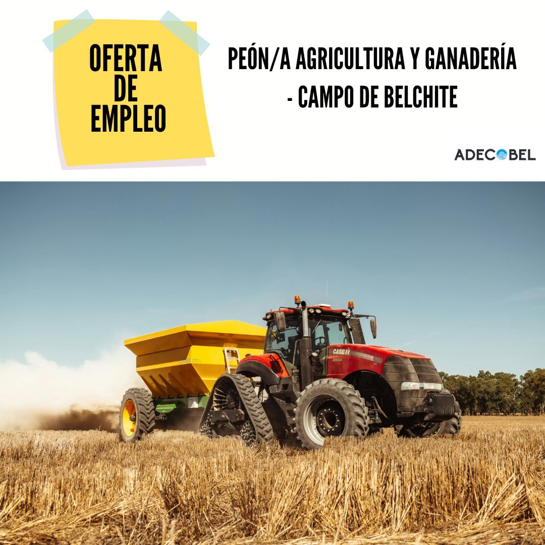 ADECOBEL tweet media