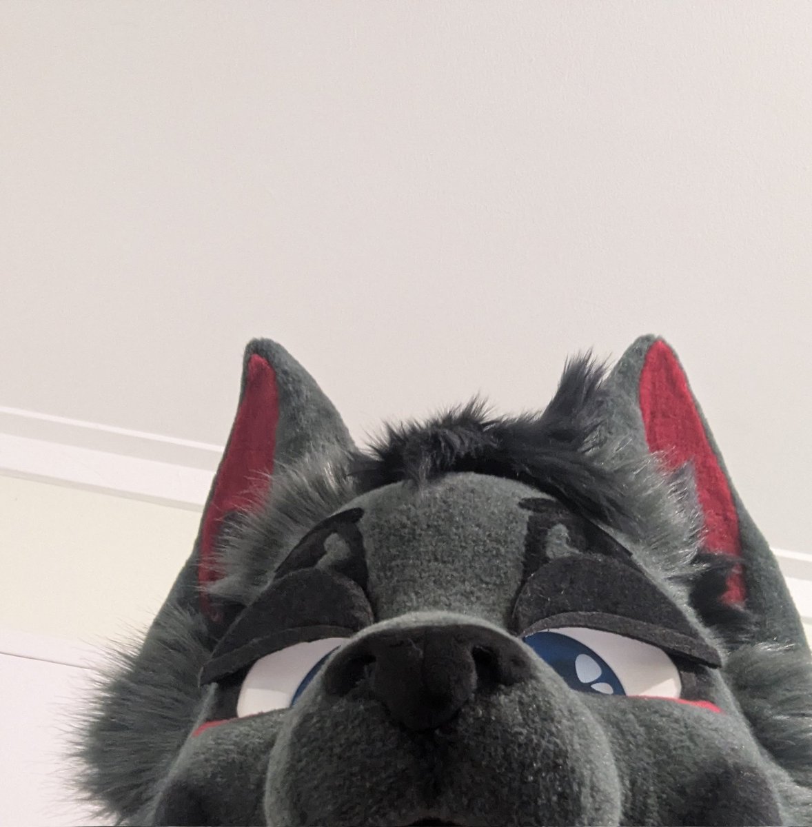 haze ── .✦ ᶠᵁᴿᴰᵁ ° ᵃᵘʳᵃʷʳᵃ tweet media