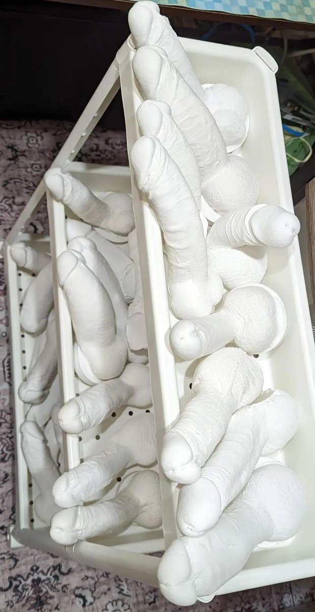 沃奇貓貓 tweet media