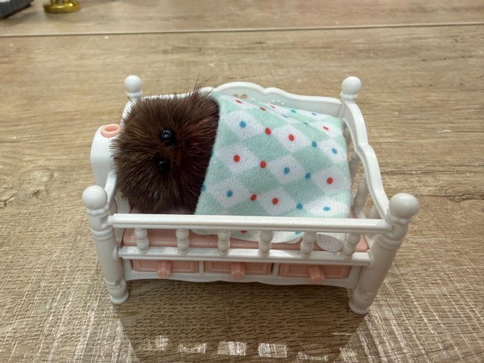 Good morning my ONE 🥰❤️