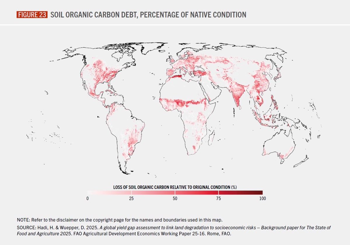 Maximo Torero tweet media
