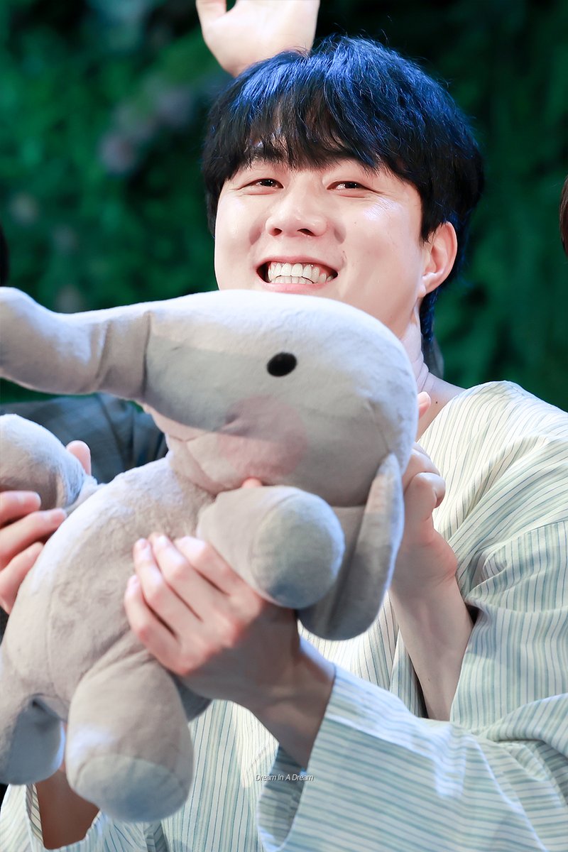 Dream In A Dream tweet media