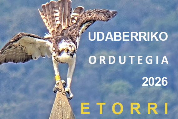Urdaibai Bird Center tweet media